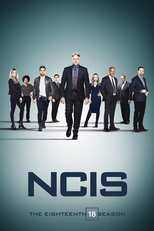 streaming NCIS : Enquêtes spéciales - Saison 18