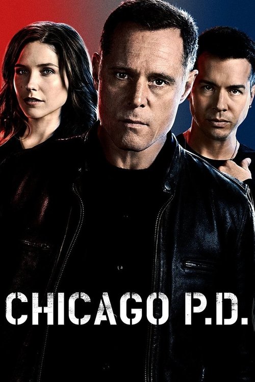 Chicago Police Department - Saison 2 streaming