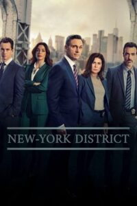 streaming New York Police Judiciaire - Saison 25