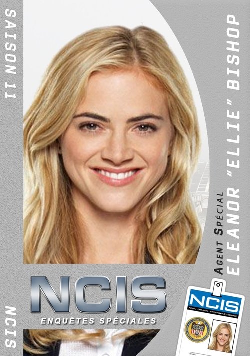 streaming NCIS : Enquêtes spéciales - Saison 11
