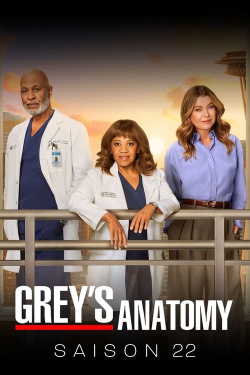 streaming Grey's Anatomy - Saison 22