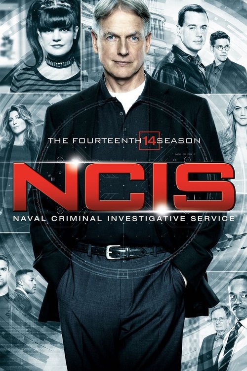 streaming NCIS : Enquêtes spéciales - Saison 14