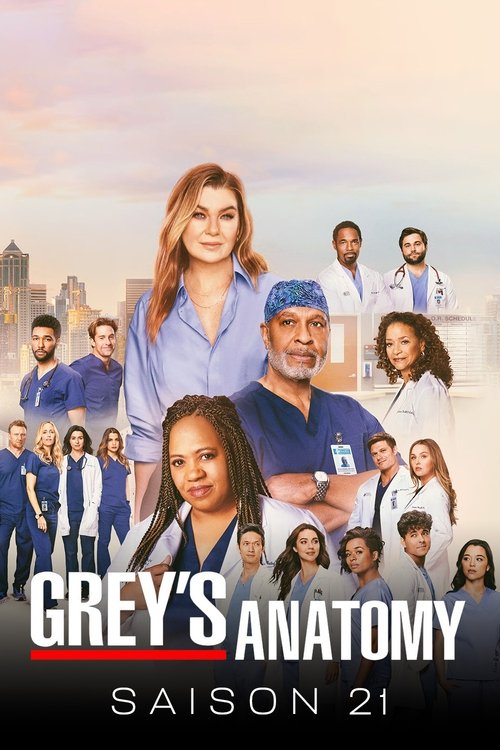 streaming Grey's Anatomy - Saison 21