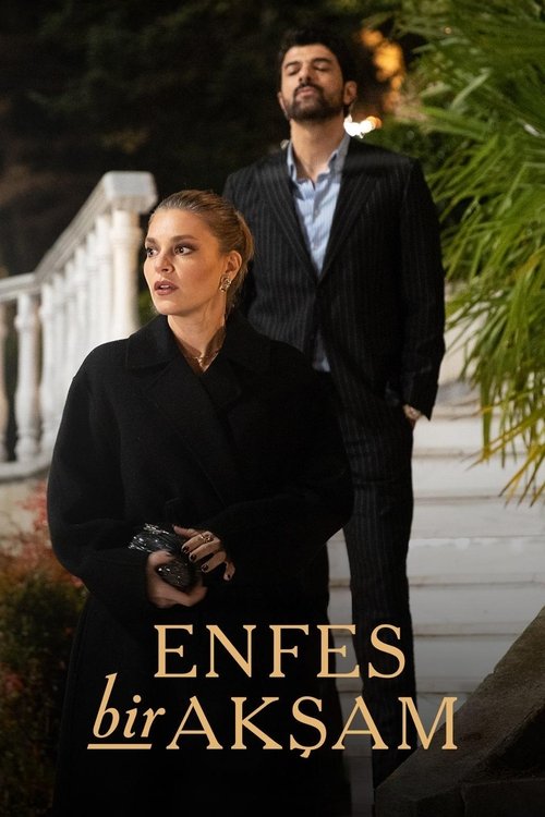 streaming L'héritière et l'Ambitieux - Saison 1
