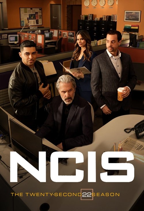 NCIS : Enquêtes spéciales - Saison 22 streaming