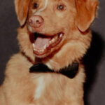 23W9yBlxOvyYx1VbqZGwF9d9GGz