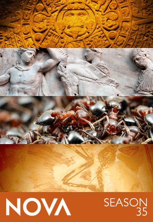 NOVA - Saison 35 streaming