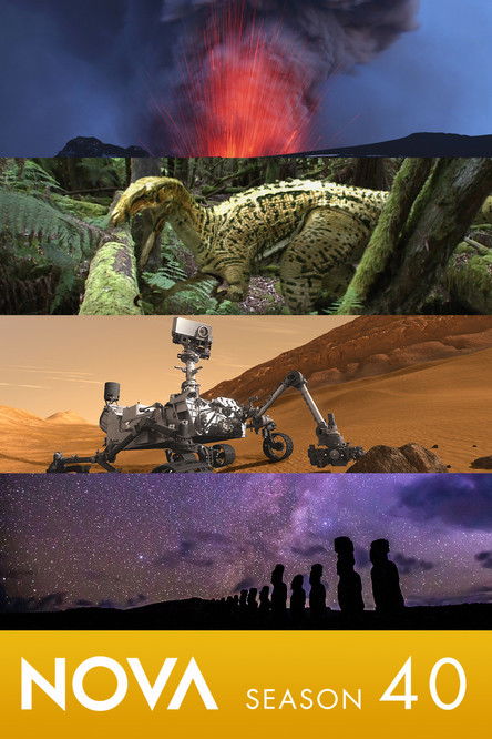 streaming NOVA - Saison 40