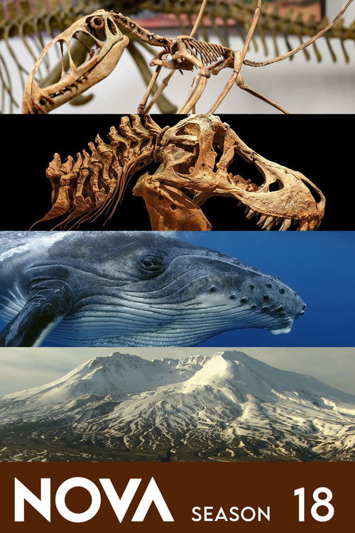 NOVA - Saison 18 streaming