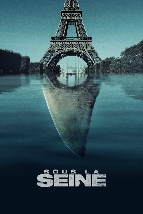 Sous la Seine - Affiche