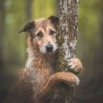 cdMydY85gbfWSnm2Ud98Eemxx6I