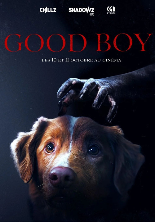 streaming Good Boy