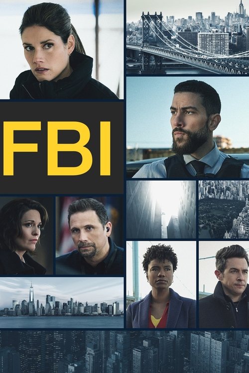 FBI - Saison 5 streaming