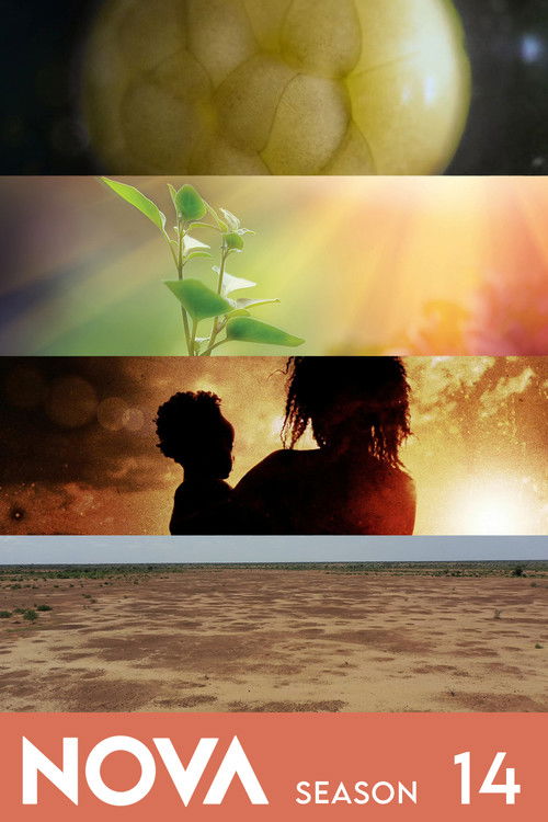 NOVA - Saison 14 streaming
