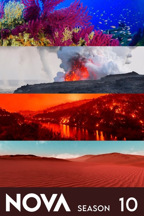 streaming NOVA - Saison 10