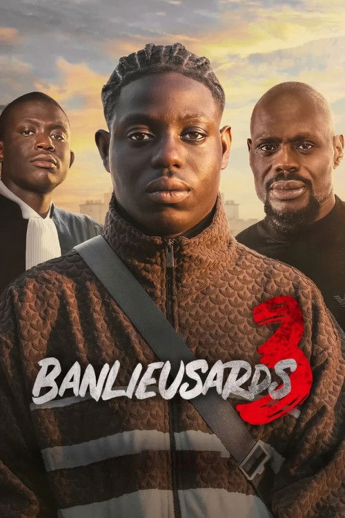 Banlieusards 3 - Affiche