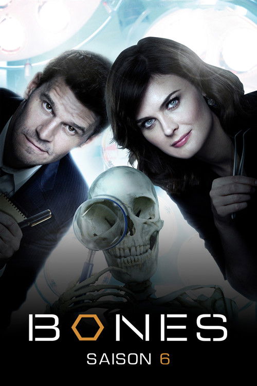 Bones - Saison 6 streaming