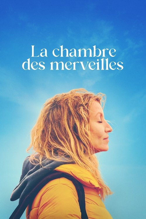 La Chambre des merveilles - Affiche