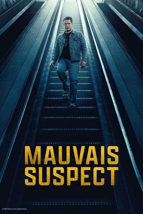 Mauvais suspect streaming