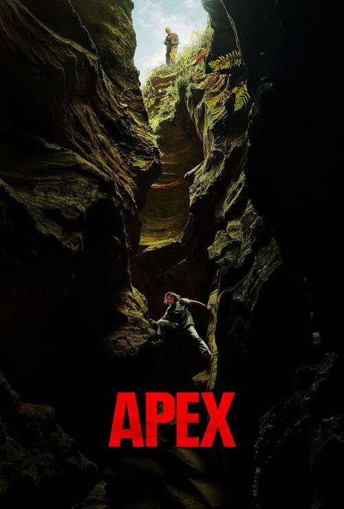 Apex - Affiche