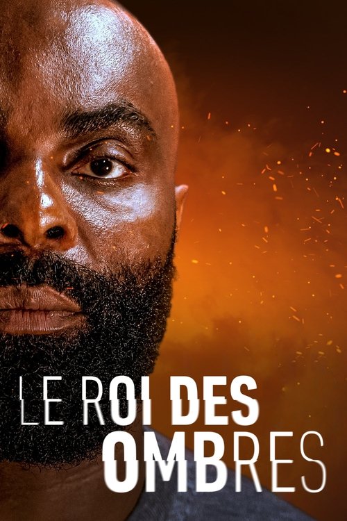 Le Roi des Ombres - Affiche