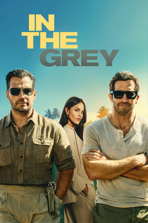 In the Grey - Affiche